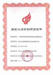 National Torch Program Project Certificate